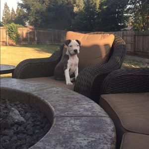 Meet your Posher, Kylee